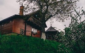 Будиночок в Карпатах